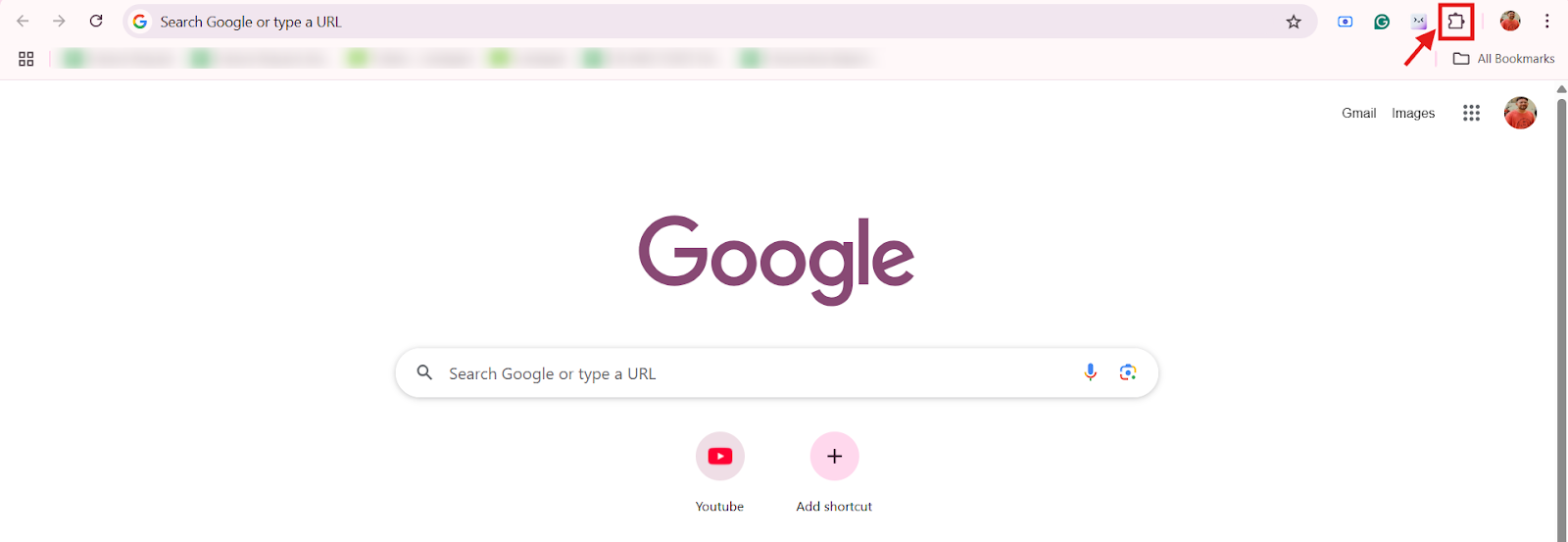 Chrome Extensions icon in the browser toolbar