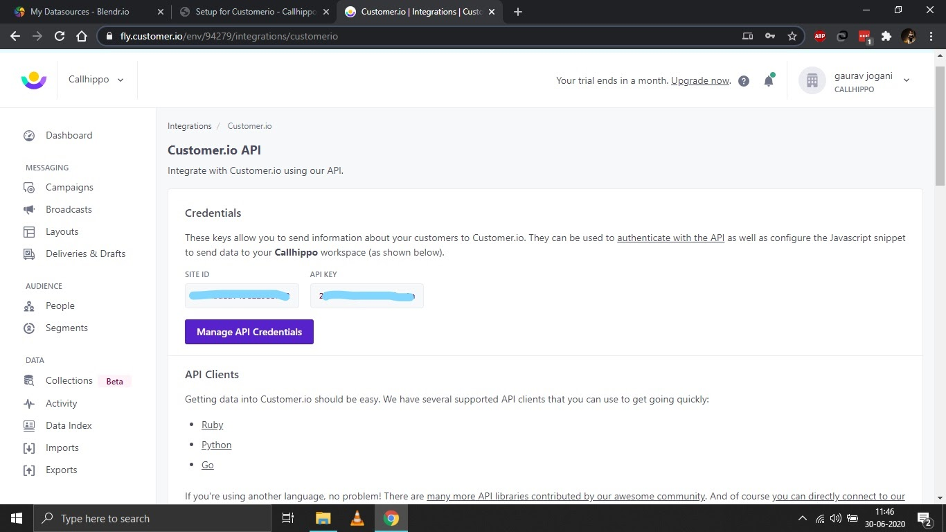 Customer.io API credentials page showing the Site ID and API Key fields