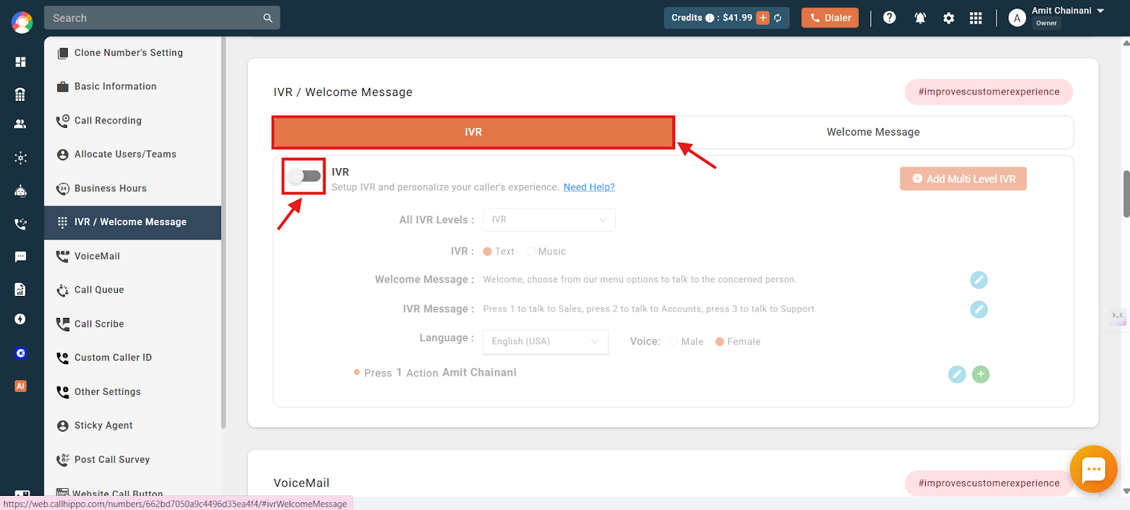 IVR tab with the enable IVR toggle highlighted