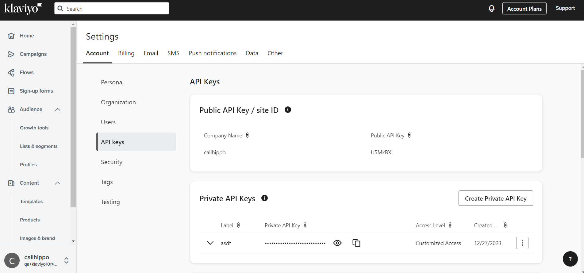 Klaviyo API keys list showing the newly created private API key to copy