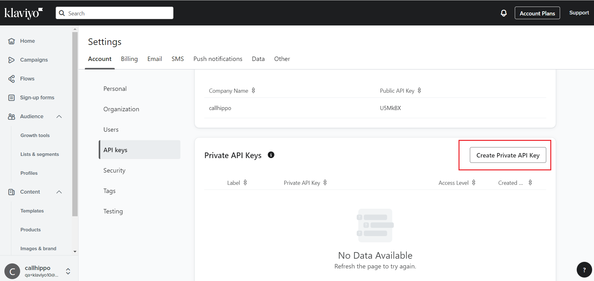 Klaviyo Settings API keys page with the Create Private API Key button highlighted