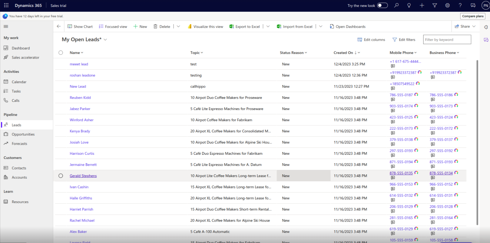 Microsoft Dynamics leads list with CallHippo click-to-call icons on phone numbers