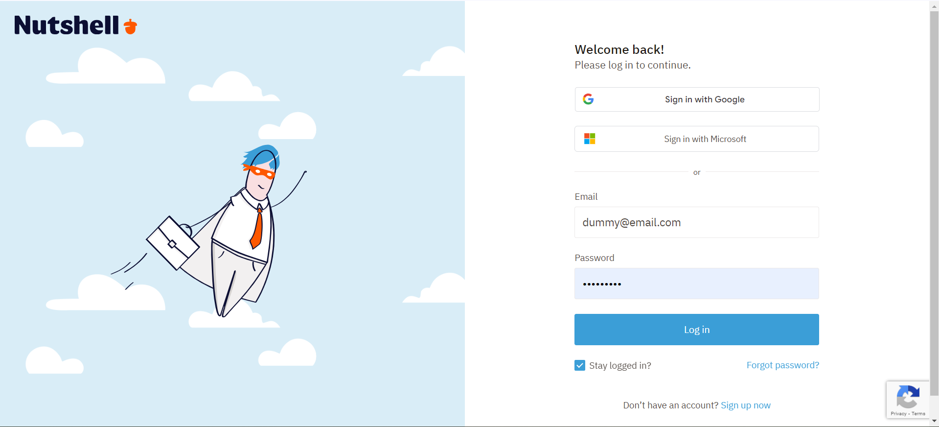 Nutshell login page with email and password fields