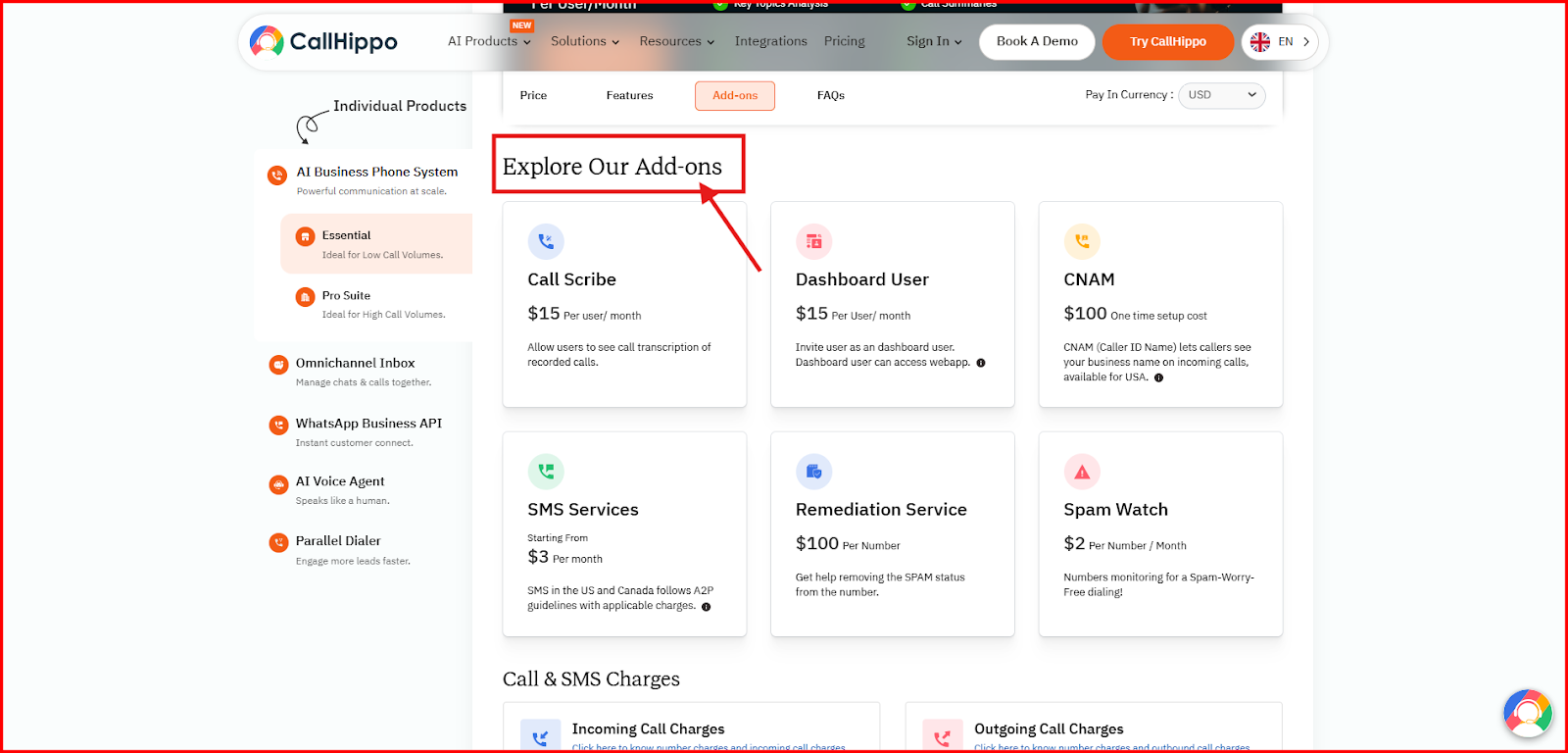 CallHippo Explore Our Add-ons section showing Call Scribe, Dashboard User, CNAM, SMS Services, Remediation Service, and Spam Watch