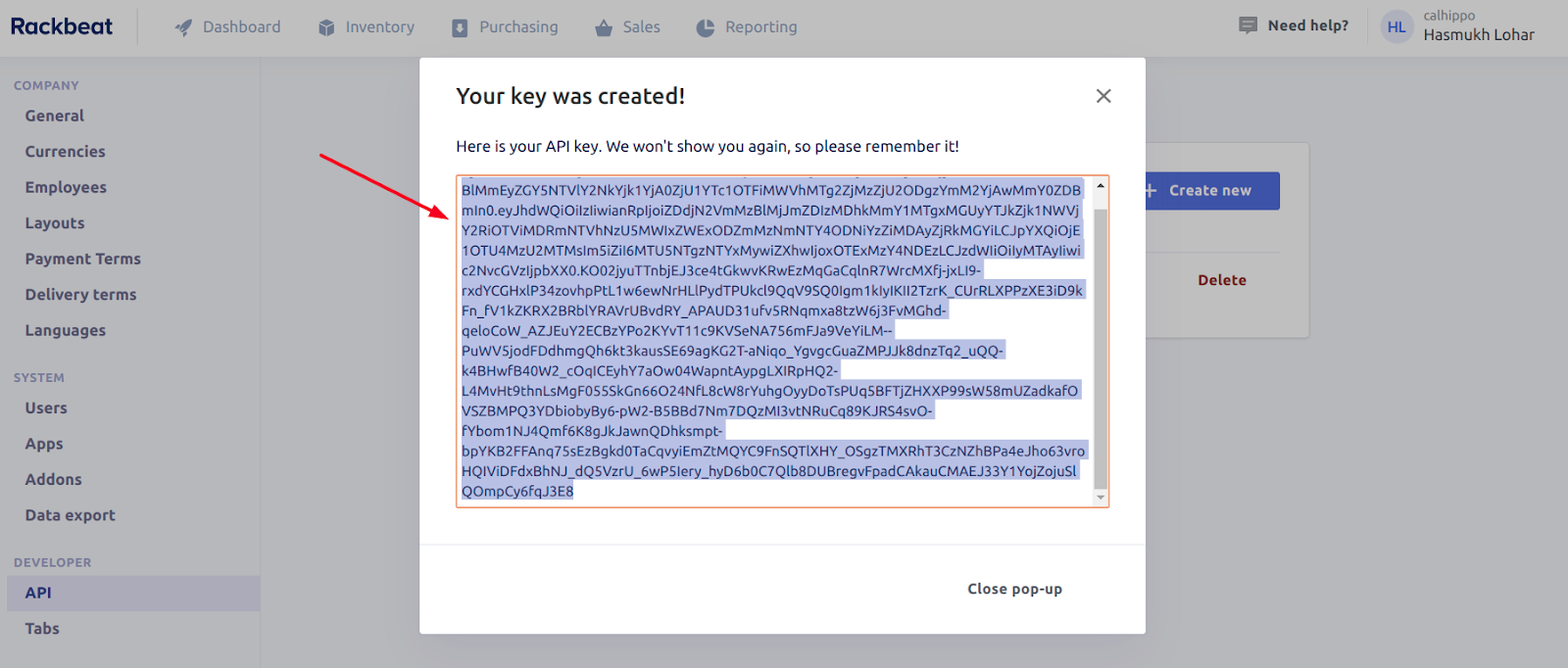 Rackbeat popup showing the newly created API key to copy