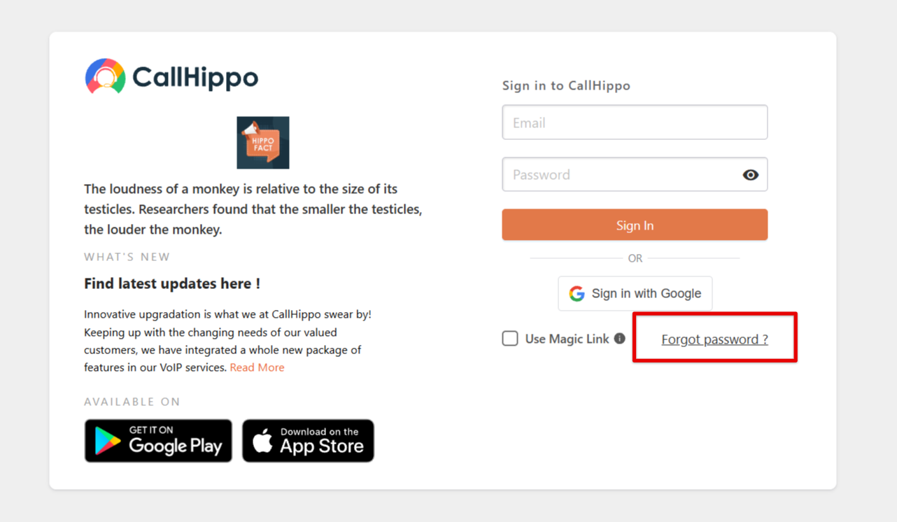 CallHippo web login page with the Forgot password link highlighted