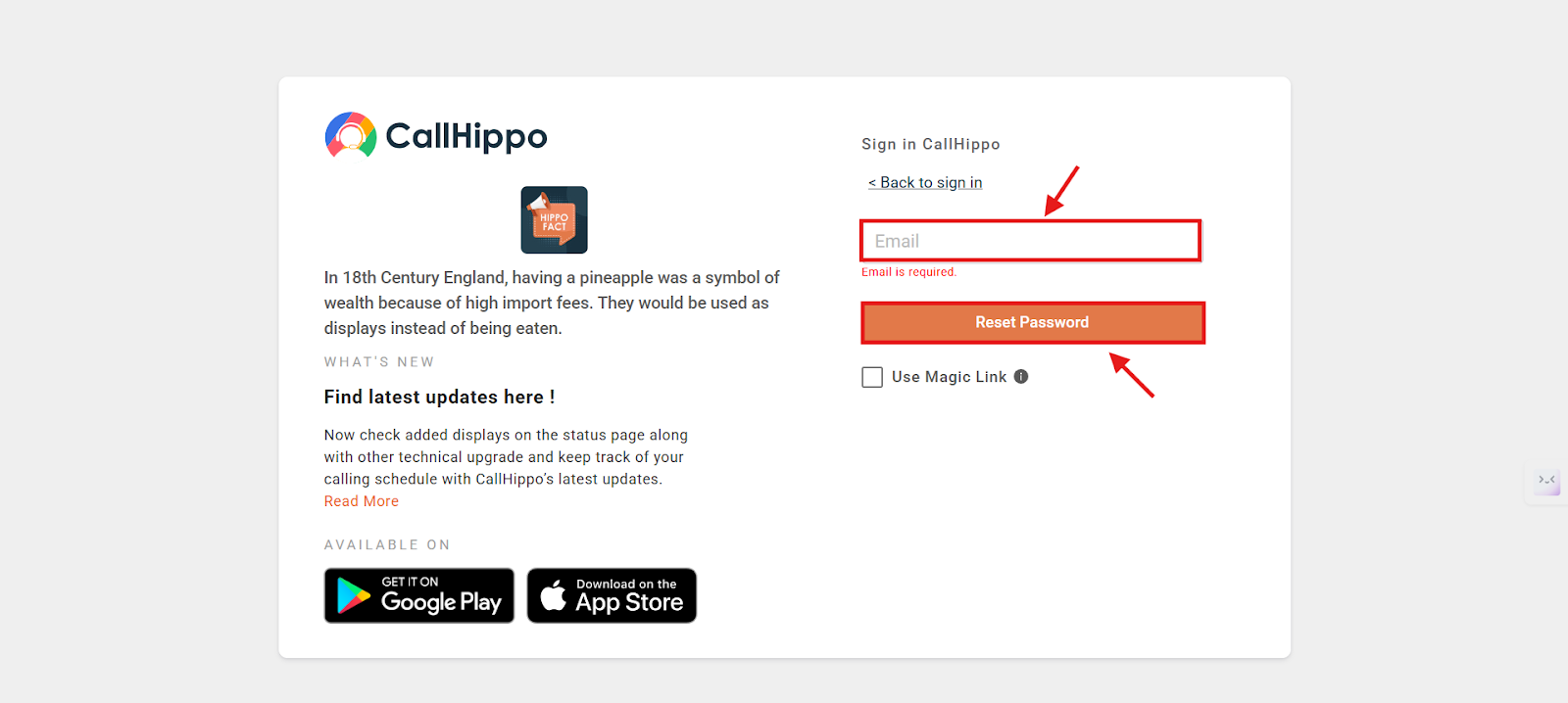 CallHippo forgot password screen with email field and Reset Password button highlighted