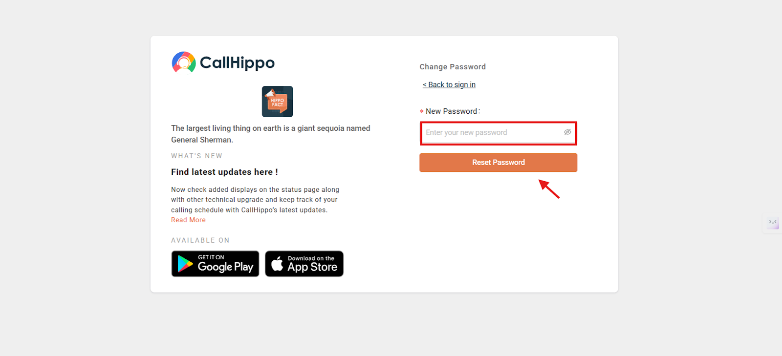 CallHippo change password screen with New Password field and Reset Password button