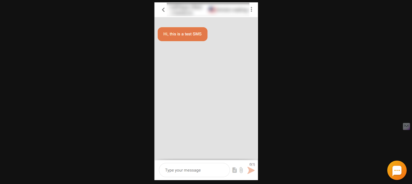 CallHippo SMS conversation with a contact showing a sent test message
