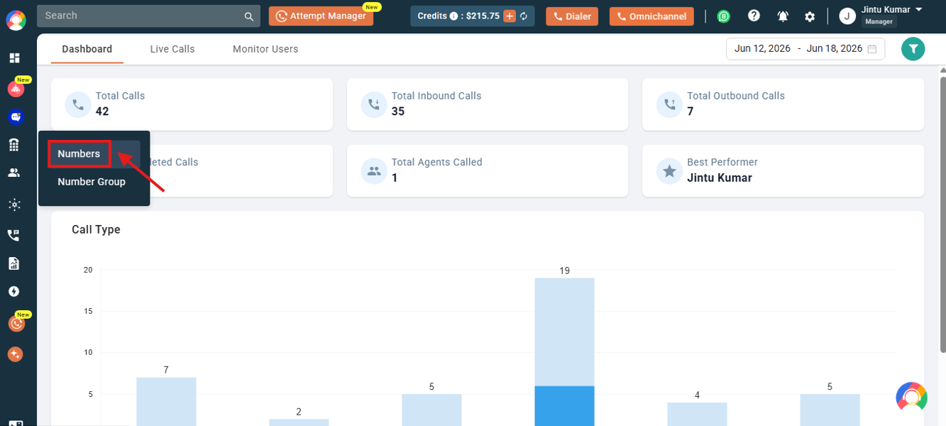 CallHippo dashboard with the Numbers menu expanded and Numbers highlighted